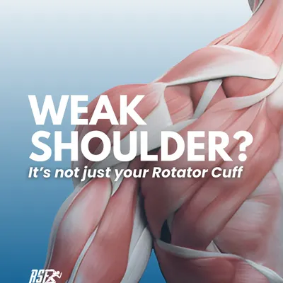 A weak shoulder is rarely just about the rotator cuff. This image introduces the concept that shoulder health depends on a complex system of muscles and joints working in harmony.