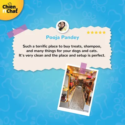 Pooja left a terrific review about her experience buying treats and shampoo at my store. I'm so glad she found the place clean and the setup perfect for her dogs and cats.