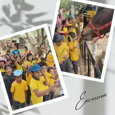 Children excitedly feed a horse at the Prani Pet Sanctuary. This field trip provided a memorable, hands-on lesson in caring for animals and understanding their needs.