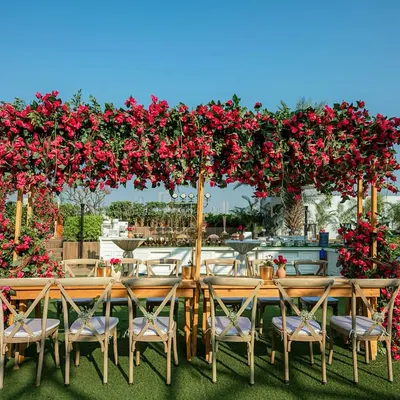 A spectacular outdoor dining setup featuring a long table under a canopy overflowing with vibrant bougainvillea.