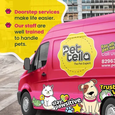 Our iconic pink van is more than just transportation; it's a state-of-the-art mobile pet service unit. Our staff are professionally trained to handle all pets with care, making doorstep services a simple and reliable solution for busy pet parents.