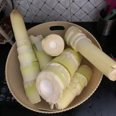 A basket of fresh, tender bamboo shoots. This is one of the most important ingredients in Naga cuisine, and I love using it when it's in season.
