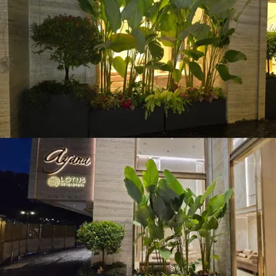 A night view of our plant installation at the entrance of the Ayana residential complex. The strategic lighting highlights the tall plants, creating a dramatic and luxurious welcome for residents and guests.