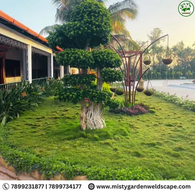 A stunning villa landscaping project featuring a beautifully manicured lawn, a mature bonsai tree, and a custom-fabricated metal art piece for hanging planters. I create green spaces that are elegant and relaxing.