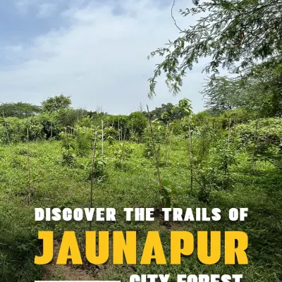Welcome to our Jaunapur City Forest. This is one of our oldest and most established sites in Delhi, a vital green lung for the city where we conduct many of our nature walks and community programs.