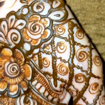 A macro shot of the fresh henna paste. You can see the texture and the fine, delicate lines I create to build up the patterns.