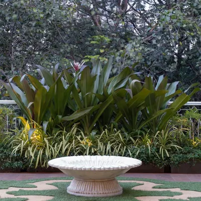 A quiet corner of an urban terrace garden. The large, sculptural bird bath becomes a centerpiece, while a backdrop of tall Crinum lilies adds a tropical feel and provides privacy from neighboring buildings.