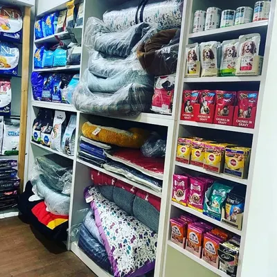 Let your pet rest in comfort. Our shelves are stocked with a variety of plush and cozy pet beds, perfect for a good night's sleep or a lazy afternoon nap.