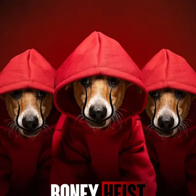 This is the final poster for my "Boney Heist" concept, created for the CARE 2024 calendar. It involved styling, studio photography, and composite editing to bring the idea to life.