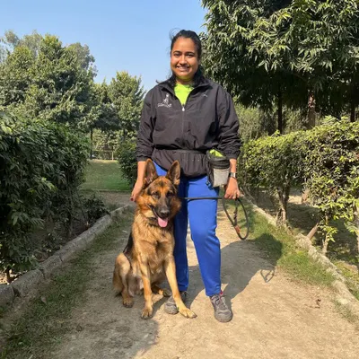 Working with powerful breeds like this German Shepherd requires a deep understanding of their drive and intelligence. I use structured training to channel their energy positively, building a respectful and obedient companion.