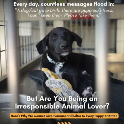 We receive countless messages about new litters of puppies and kittens. But are you being an irresponsible animal lover? Sheltering every healthy animal is not a sustainable solution; prevention is.