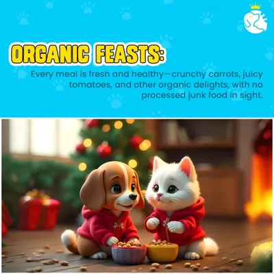 We serve organic feasts for your pets. Every meal is fresh and healthy with crunchy carrots, juicy tomatoes, and other delights, with no processed junk food in sight.