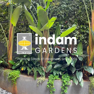 Imagine waking up to this lush sanctuary every day. For this residence, we created a wraparound garden featuring vertical walls of Peperomia, Anthuriums, and Philodendrons to bring the outdoors in.