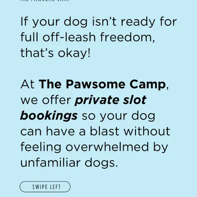 We understand that not every dog is ready for a big group. That's why we offer private slot bookings for a more controlled and relaxed experience.