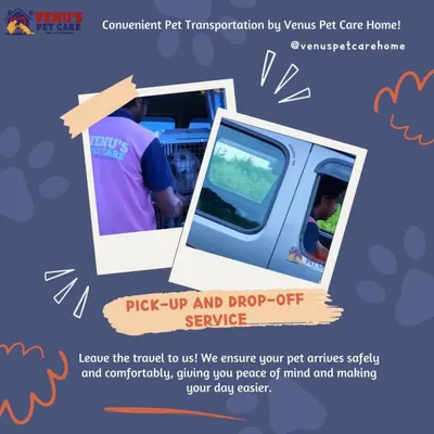 Leave the travel to us. Our convenient pick up and drop off service ensures your pet arrives at our facility safely and comfortably, giving you complete peace of mind.