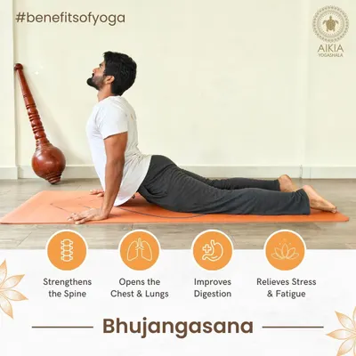 Bhujangasana (Cobra Pose) is a foundational heart-opening backbend. This infographic explains how it strengthens the spine, opens the lungs, and relieves stress.