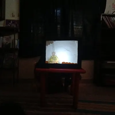 The magic of a shadow puppet show. In a darkened room, simple shapes come to life, telling a story in a way that is both ancient and captivating for modern kids.