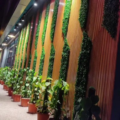 A closer look at the Haldiram's facade installation. The combination of vertical greenery and wood-style panels is fully lit for a dramatic effect at night.