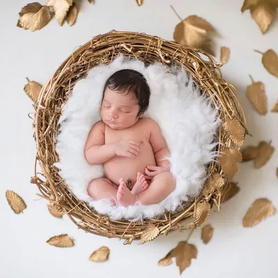 This is the kind of timeless art I love to create. We nestled this precious newborn into a soft, golden nest, surrounded by delicate leaves, capturing the pure and peaceful sleep of their first few days. Every detail is planned to create a beautiful, serene portrait you will treasure forever.