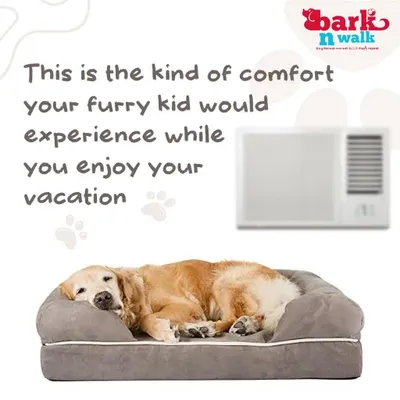 This is the level of comfort your furry kid will experience with us. While you're on vacation, they'll be relaxing in their own cozy, air-conditioned space.