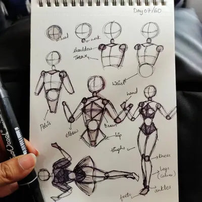 Day 7 of my doodle challenge. Practicing human anatomy, from the basic structure of the head and torso to the placement of limbs.