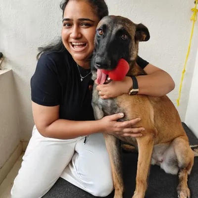 Two years ago, I quit my corporate job to turn my love for dogs into a career. It was a huge leap of faith, but seeing happy dogs and families every day confirms it was the best decision of my life.