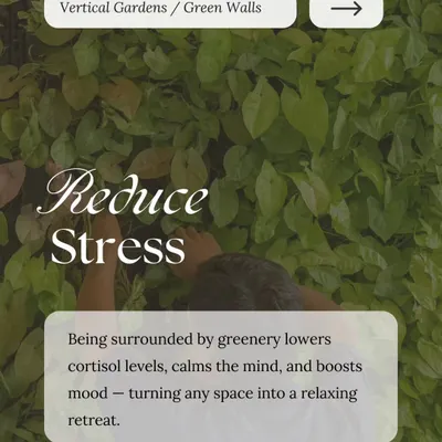 A green wall is more than just decor; it's a wellness feature for your home. Being surrounded by greenery is proven to lower stress and boost your mood. We create these living walls to turn any space into a relaxing retreat.