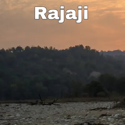 A scenic view of the riverbed and forests of Rajaji Tiger Reserve at sunset, a beautiful landscape that is home to tigers, leopards, and elephants.