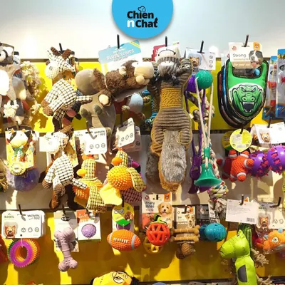 My toy wall is a paradise for pets. It's filled with everything from durable chew toys and rope pullies to soft plush animals and interactive puzzle toys to keep their minds sharp.