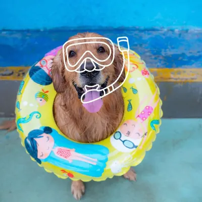 Ready for a swim? I make sure even the most stylish pups have everything they need for a day at the pool, including their very own floatie and snorkel. It's all about safe, supervised fun.