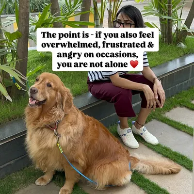 If you feel overwhelmed, frustrated, and angry on occasion, you are not alone. Raising a human and a dog together is a beautiful journey, but it's also incredibly demanding. It's okay to admit that this is hard.