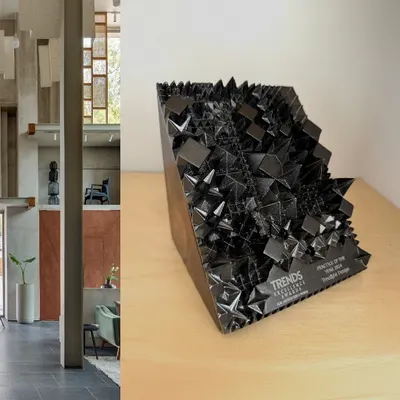 We are proud to be the recipients of the 'Practice of the Year 2024' award from Trends Excellence. This image pairs the trophy with a view of our Magari showroom interior, a project that embodies our design ethos.