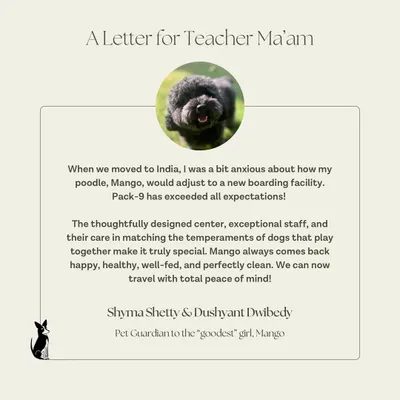 Hearing from happy pet parents is the reason I do what I do. This wonderful note from Mango's family shows the peace of mind that comes from knowing your dog is in a safe, caring, and perfectly clean environment.