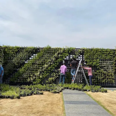Here is our team during the installation of a large-scale outdoor vertical garden. Each plant is carefully placed into the modular panels to create the final design.