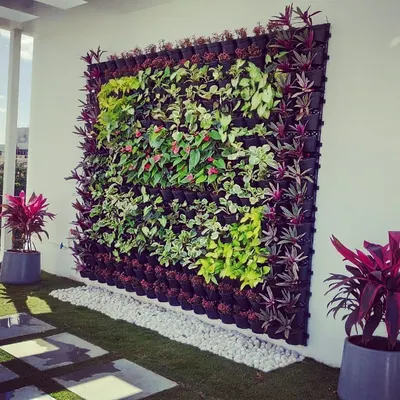 This is a living vertical garden I created for a residential terrace in Rammurthy Nagar. I carefully arranged a variety of live plants with different colors and textures to build a lush, green feature wall that brings the whole space to life.