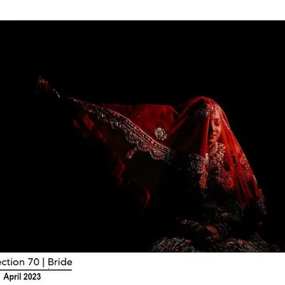 This photo, which won a Fearless Award, captures the mystery and beauty of a bride under her veil. The dramatic lighting and composition are hallmarks of my artistic style.