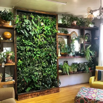 A floor-to-ceiling living wall framed in wood acts as a stunning natural art piece in this living room. It separates the space while adding a massive dose of green.