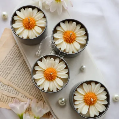 Launching my Daisy Mini Candles. These super cute jar candles feature a classic white daisy design and are a perfect budget-friendly option for gifts or to treat yourself.