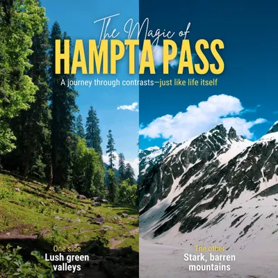 The magic of Hampta Pass lies in its contrasts. This graphic shows the two worlds of the trek: the lush, green Kullu valley on one side and the stark, barren mountains of Spiti on the other.