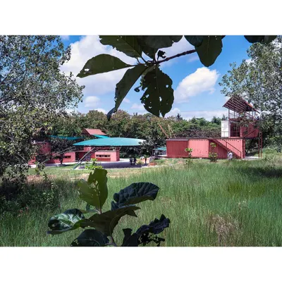 Our Earth Alive project, a re-wilded space built from shipping containers, sits gently in a field, embodying our principles of slowness, diversity, and play.