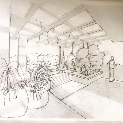 A preliminary concept sketch for a terrace garden. This type of freehand drawing is a crucial first step in our process, allowing us to quickly visualize and communicate the spatial arrangement and key features of a new landscape design.