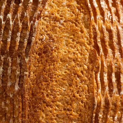 An extreme close-up of a sourdough crust. This macro shot is all about texture, highlighting the beautiful, crunchy surface of the bread.
