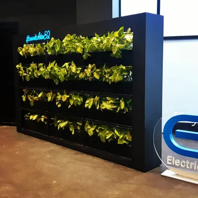 This is the completed vertical garden we installed for the Mercedes-Benz EQ electric vehicle launch. The living wall serves as a powerful visual symbol of the brand's commitment to sustainability and green technology.