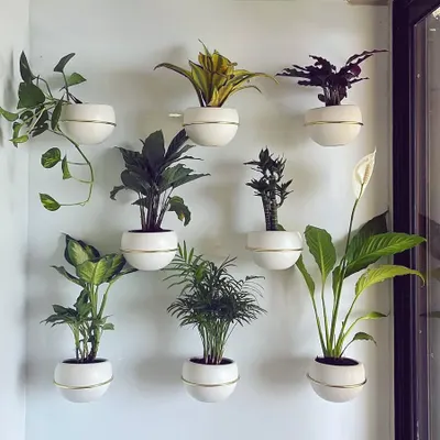 The small joys of life, inspired by a client's creativity. This beautiful wall display uses a variety of indoor plants like Pothos, Peace Lily, and Palms in matching white planters to create a living art piece.