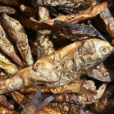 This is my smoked dried fish, a delicacy in Northeast cuisine. Its intense, smoky flavour is perfect for adding to stews or eating as a side.