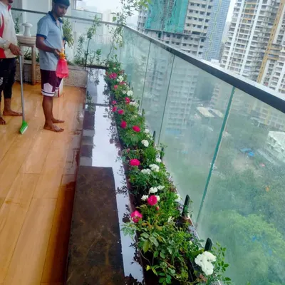 Our team at work on a client's balcony rose garden. Regular maintenance visits include fertilizing, pest management, and cleaning to keep the plants healthy and the space enjoyable. We take care of the chores so you can simply enjoy the view.