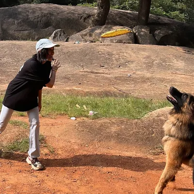 Look at that drive. Working with Hustler the GSD was a blast. Using a dog's natural play drive is one of the most effective ways to train and build a strong, positive relationship.