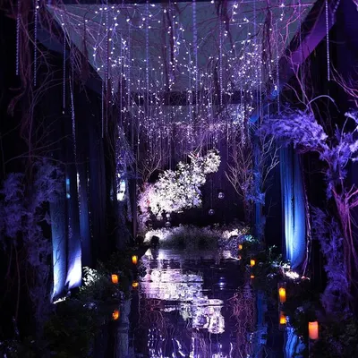 An ethereal entrance for an enchanted forest themed party. We used a reflective floor, cascading fairy lights, and purple uplighting on bare branches to create this magical, otherworldly atmosphere.
