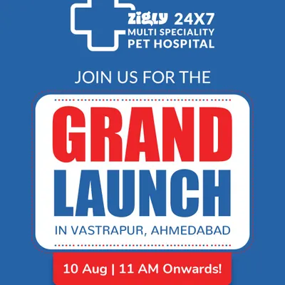 Announcing the grand launch of our 24x7 Multi-Speciality Pet Hospital in Vastrapur, Ahmedabad. We invite the community to join us for a day of celebration and special offers.