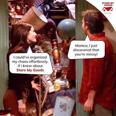 Even Monica Geller had a secret messy closet. If only she knew about me, she could have organized her chaos effortlessly. Don't be a Monica, let me help.
